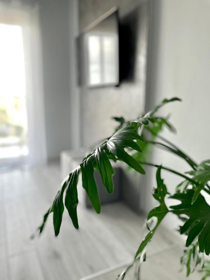 Ach, To Tu- Apartament Łańcut Buitenkant foto